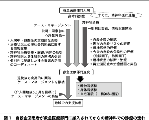 臨床精神医学　2021年6月　自殺行動の背景と自殺防止対策　メンタルヘルス 臨床精神医学 2021年6月 自殺行動の背景と自殺防止対策 メンタル