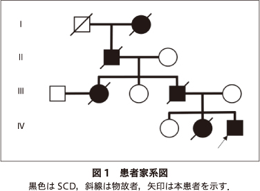 画像拡大