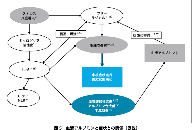 画像拡大